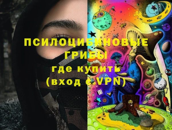Альфа ПВП Армянск