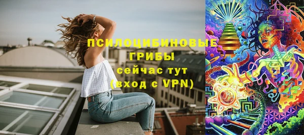 прущая мука Арсеньев
