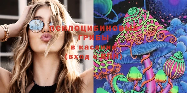каннабис Аркадак
