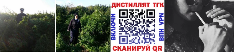 купить наркотики сайты  Белоярский  Дистиллят ТГК жижа 